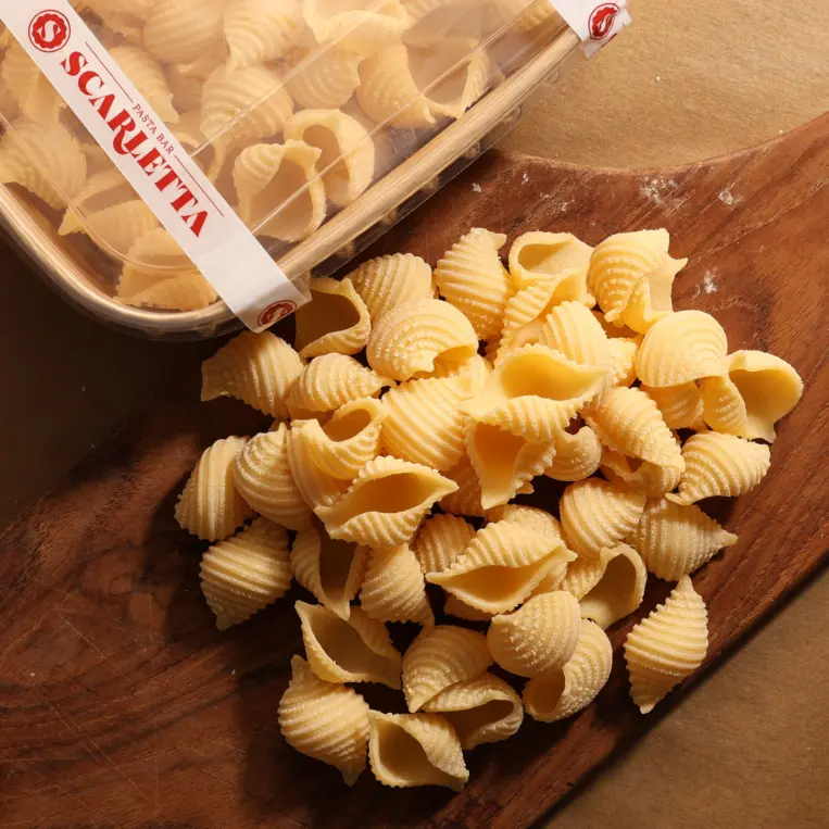 Conchiglie