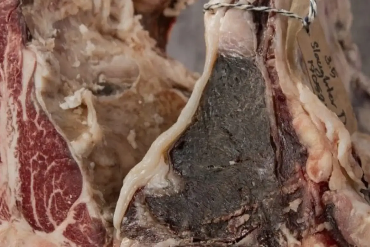 Dry-Aged Beef – The Basics